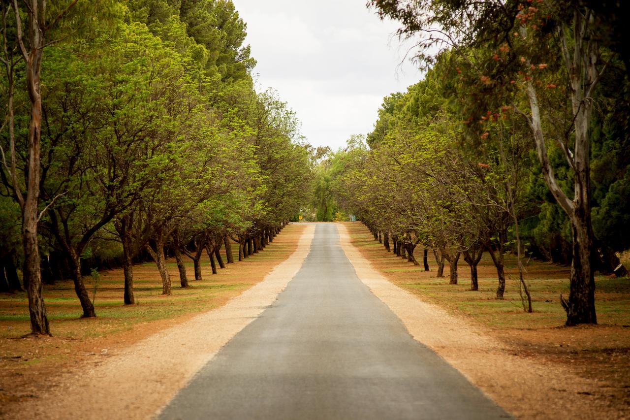 Renmark Country Club Екстериор снимка