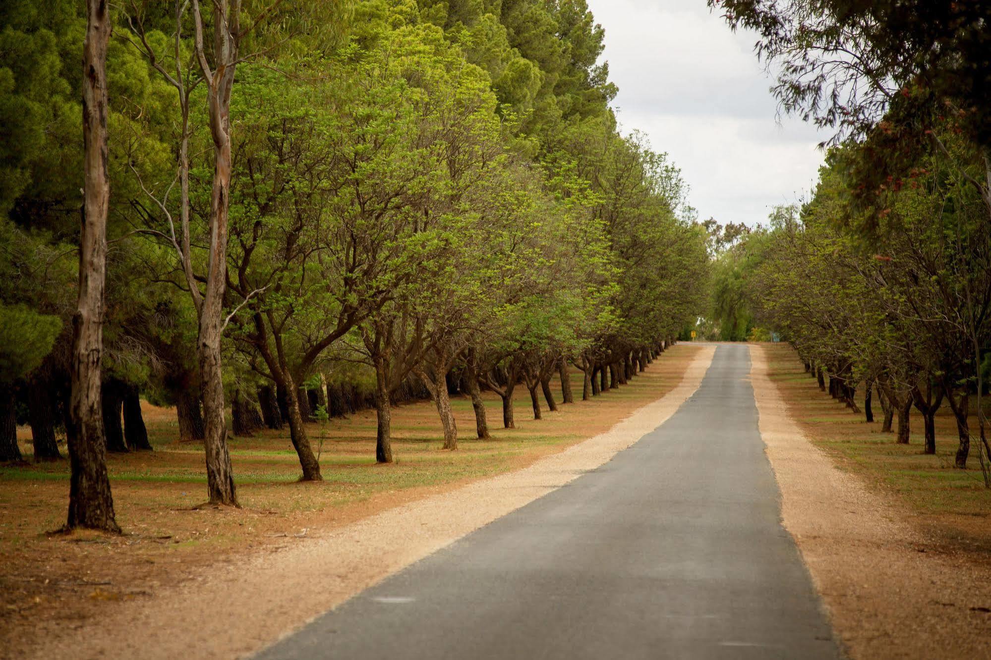 Renmark Country Club Екстериор снимка