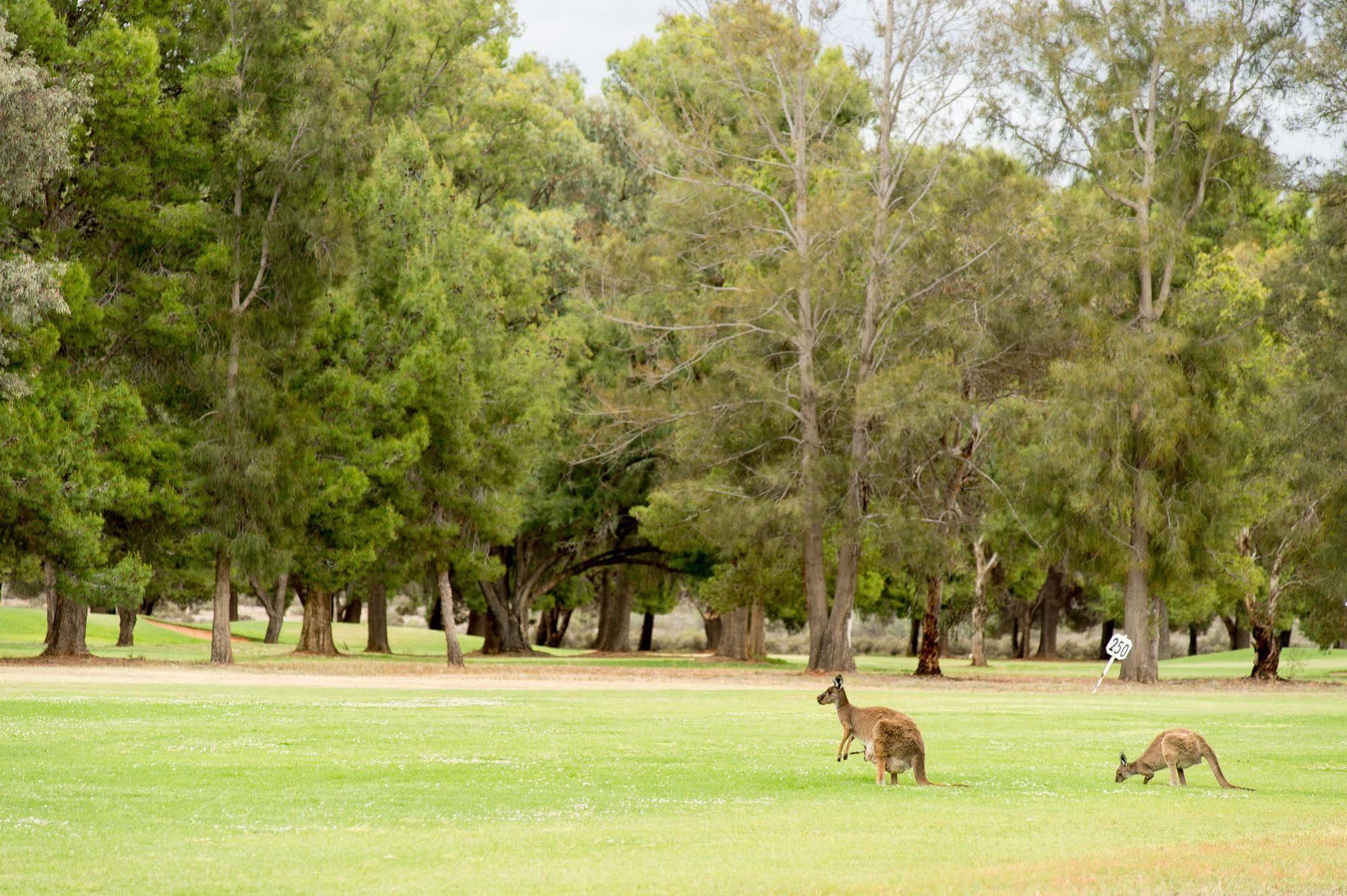 Renmark Country Club Екстериор снимка