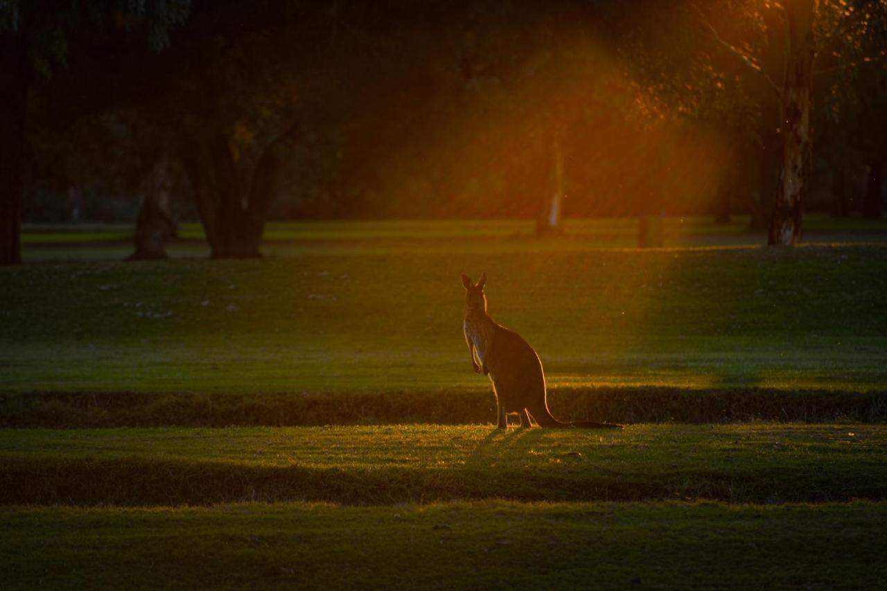 Renmark Country Club Екстериор снимка