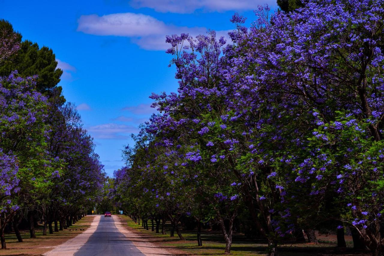 Renmark Country Club Екстериор снимка