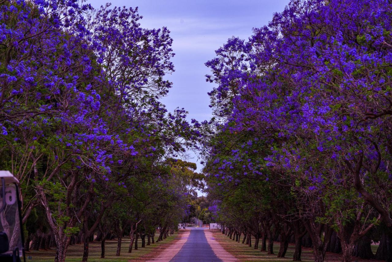 Renmark Country Club Екстериор снимка