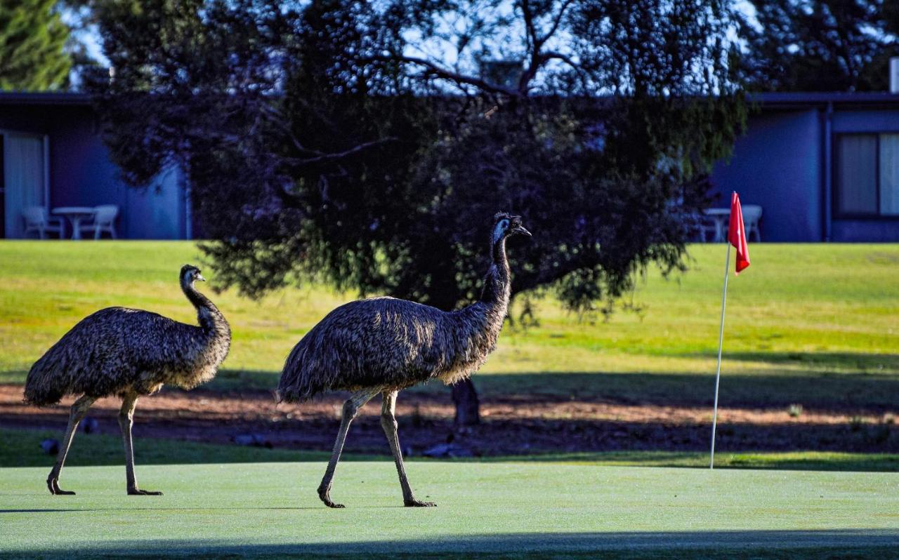 Renmark Country Club Екстериор снимка