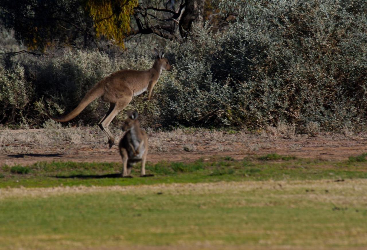 Renmark Country Club Екстериор снимка